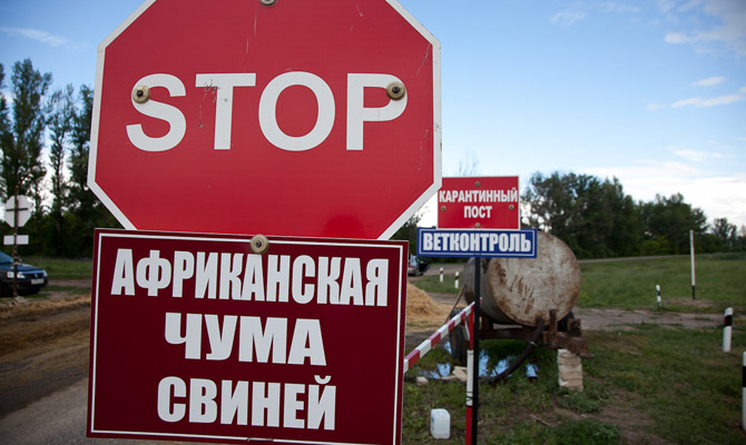 На Сумщине выявили новый случай заражения АЧС