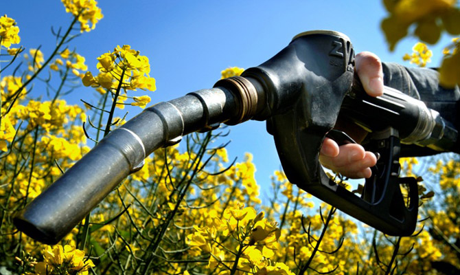 В Одесской области запустят производство биоэтанола