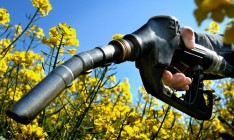 В Одесской области запустят производство биоэтанола