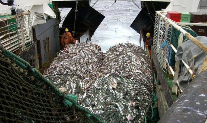 Госрыбагентство опровергает введение моратория на вылов рыбы в Киевской области