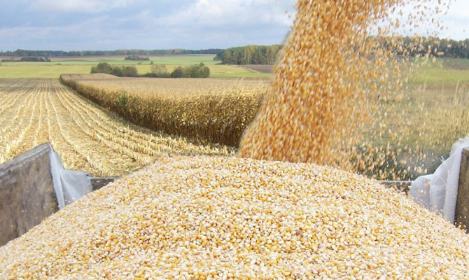 Украина увеличила экспорт ячменя в арабские страны