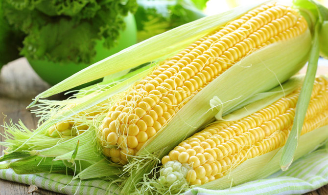 Кукуруза за неделю подорожала на 100 грн/т