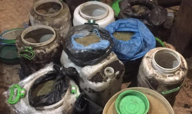 СБУ изъяла в Киевской области почти 100 кг каннабиса на несколько миллионов гривен
