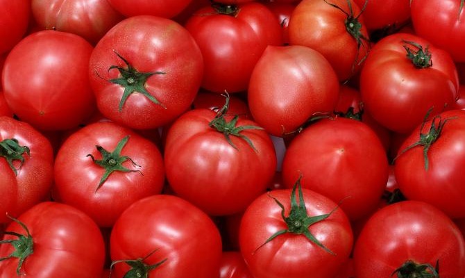 «Чумак» планирует выйти на рынок Скандинавии