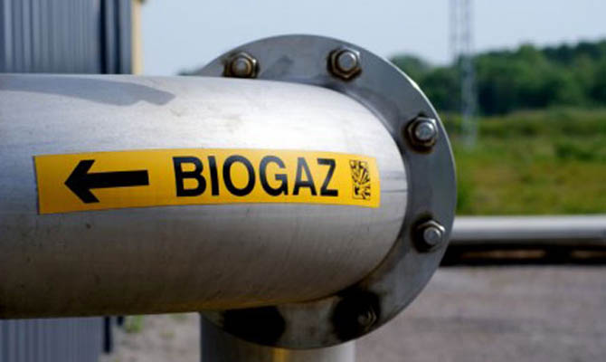 Пальмирский сахарный завод переоборудуют на биогазовую станцию