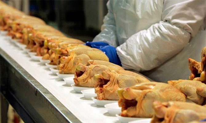 Украина разрешит экспорт мяса из Бразилии