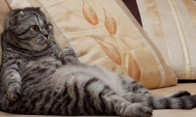 В июне установлено три дополнительных выходных