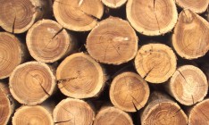 Москаль заявил об обнаружении деловой древесины в 8 вагонах на границе с ЕС