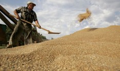 «Аграрный фонд» выдаст аграриям кредитов на 400 млн