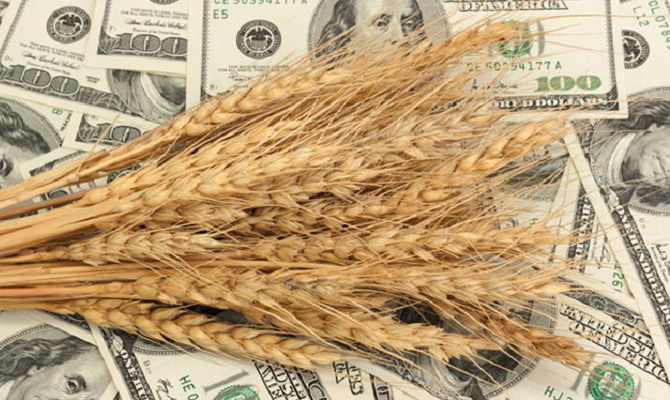 ЕС закупил еще 15 тыс. тонн украинского ячменя в рамках квот