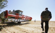 Украина исчерпала квоту на беспошлинные поставки пшеницы в ЕС