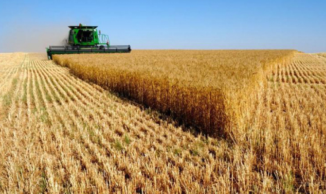 ЕБРР выделил агрохолдингу ИМК $20 млн на пополнение оборотных средств