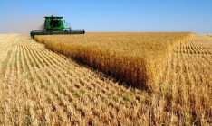 ЕБРР выделил агрохолдингу ИМК $20 млн на пополнение оборотных средств