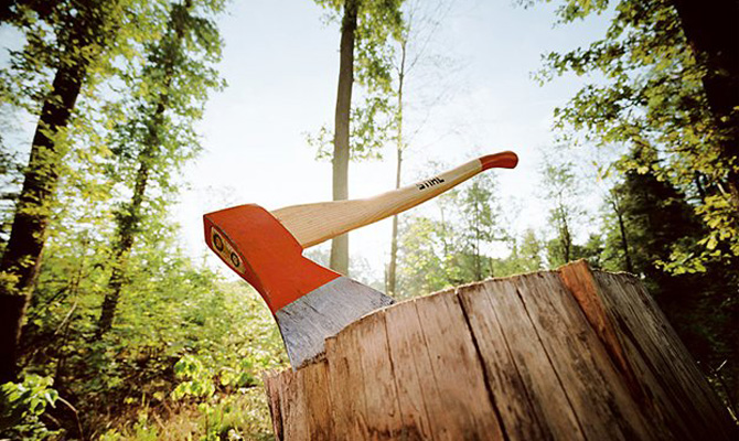 В Киеве ввели мораторий на вырубку деревьев