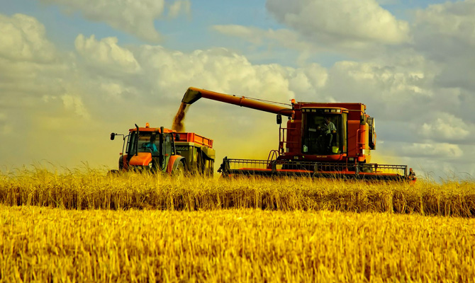 Аграрии собрали 4,5 миллиона тонн урожая зерновых