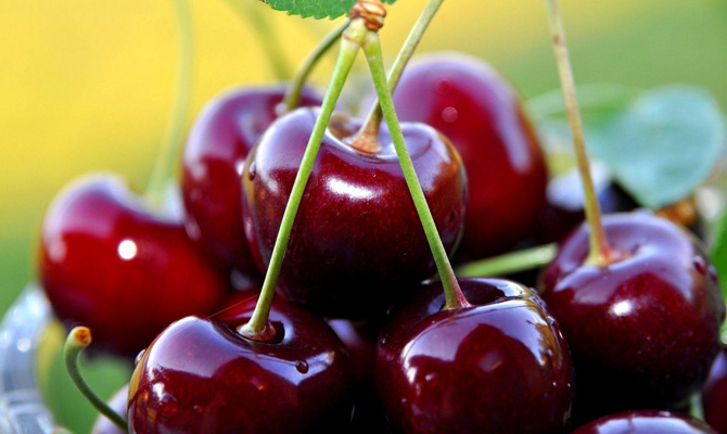 В России уничтожили фрукты из Украины и Польши