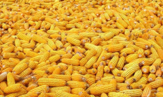 Киев получил ноту из Китая из-за кукурузы