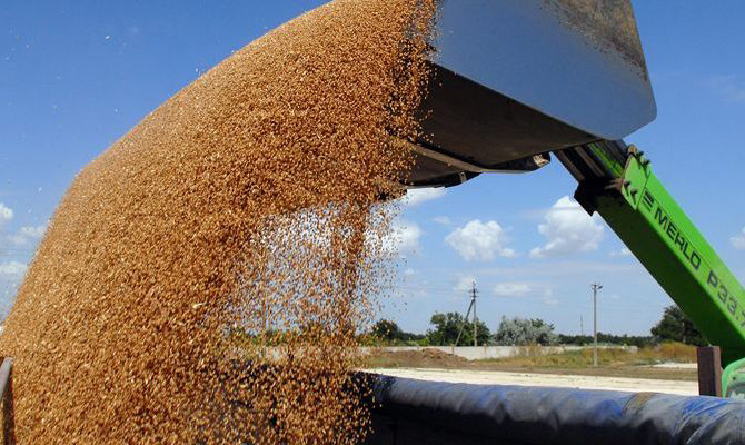 Аграрии экспортировали 1,4 миллиона тонн зерновых