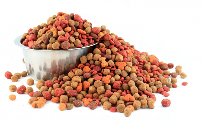 Россия с 1 августа ограничит ввоз украинских кормов для животных