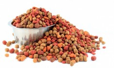 Россия с 1 августа ограничит ввоз украинских кормов для животных