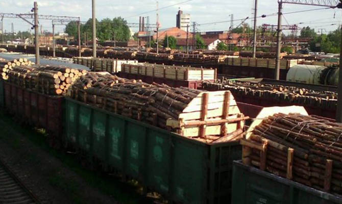 На Закарпатье конфисковали первые вагоны с «запрещенным» лесом