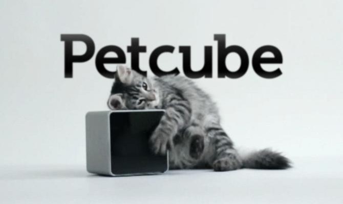 Украинский стартап Petcube собрал на Kickstarter $200 тыс. за 15 дней