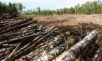 В Винницкой области пресекли масштабную вырубку лесов