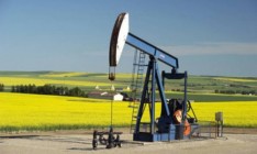 Гендиректор «Нафтогазвыдобування» Щуров освобожден от должности