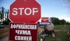 Вспышку АЧС зафиксировали на ферме в Винницкой области