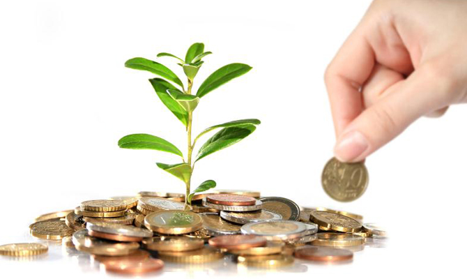 Капитальные инвестиции в сельское хозяйство выросли до 17 миллиардов