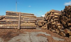ГФС раскрыла очередную схему контрабанды леса на 10 млн