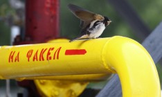 Индия и Россия обсудят газовый проект