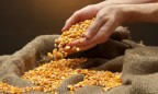 USDA повысило прогноз экспорта зерна из Украины на 2,8%