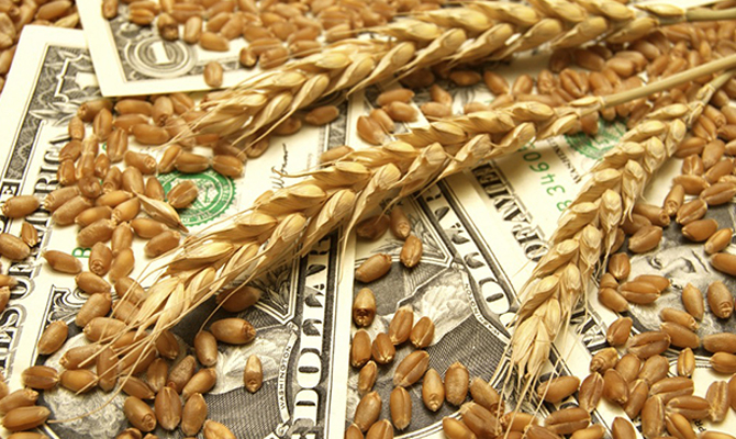 Украина заняла экспортный рынок пшеницы в Индии