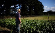 Премьер заверил, что фермеры вовремя получат 5,5 миллиарда помощи