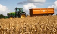 Россия обнулила пошлину на пшеницу