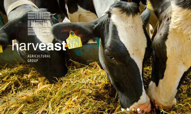 Агрохолдинг Ахметова-Новинского может выйти из животноводства