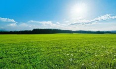 Минагропрод рассматривает возможность дотирования выращивания гречихи, ржи и кормовых культур