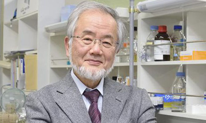 Нобелевскую премию по медицине за 2016 год присудили японскому профессору