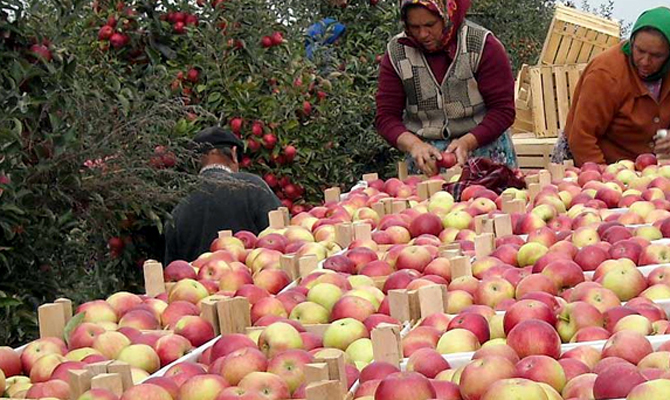 Украина сможет поставлять в Индонезию овощи и фрукты