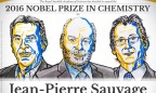 Нобелевскую премию по химии присудили за дизайн молекул