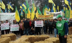 Что обещают аграриям за прекращение протестов
