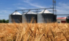 Глава «Укрзализныци» ожидает проблемы с экспортом зерна