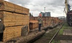 СБУ перекрыла нелегальный канал экспорта древесины в Турцию