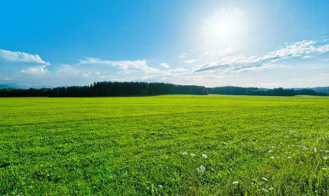 Правительство уверяет, что МВФ не требует немедленной продажи земли