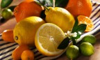 В Украине на 15-20% подешевели цитрусовые