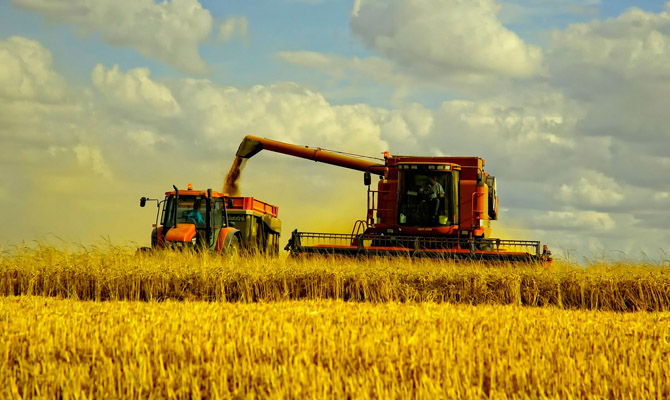 В Украине намолотили 55,9 млн тонн зерна