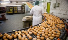 В Украине на 10,5% сократилось производство яиц