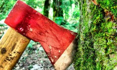 ЕС поможет Украине отслеживать вырубку лесов