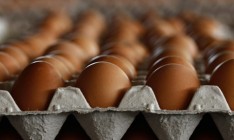 АМКУ проверит правомерность повышения цен на яйца